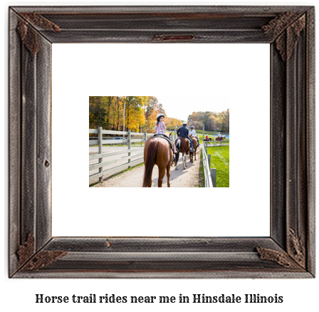 horse trail rides near me in Hinsdale, Illinois